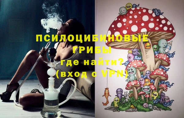 спайс Алексин
