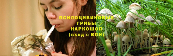 амф Алзамай